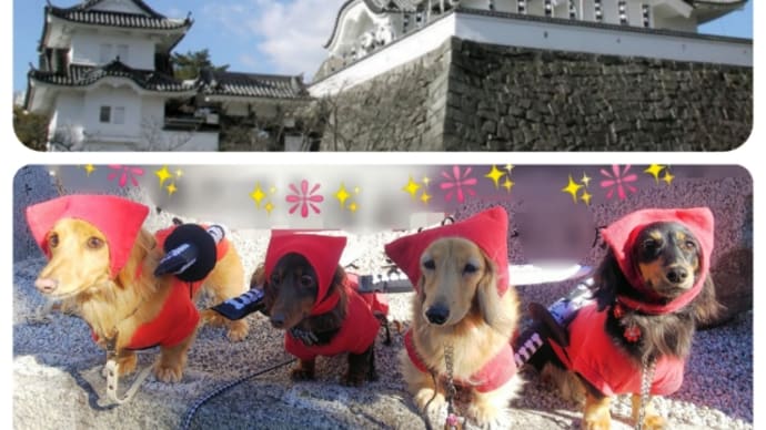 忍者修行のおでかけ♪ ~伊賀~