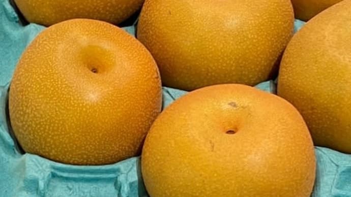 えっ、それって虚しいの?
