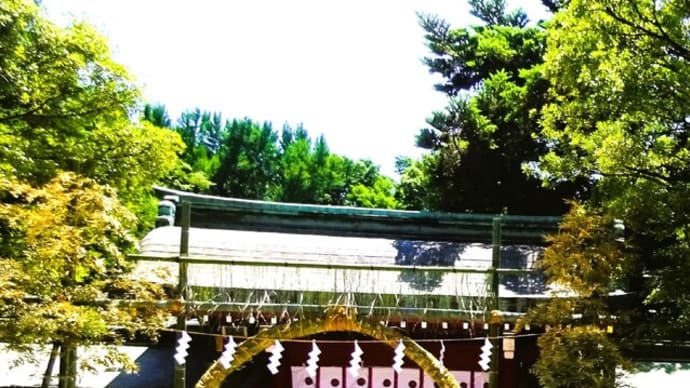 大國魂神社で無病息災を願い茅の輪くぐり!時短マカロニサラダ