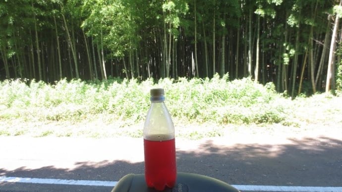 猛暑の作業：手作り赤紫蘇ジュースで生き返る！