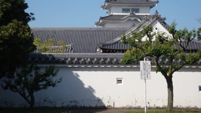 水運の要の城「関宿城」、(少し昔の画像)。