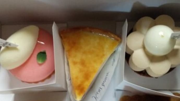 代わりの冷蔵庫