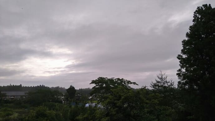 アイビーの空