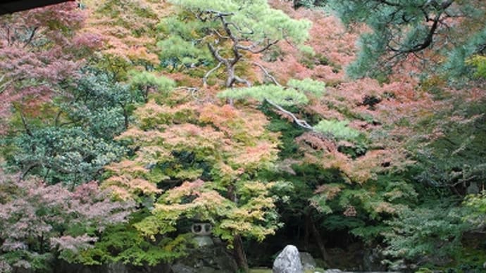 京都の隠れ紅葉スポット 蓮華寺
