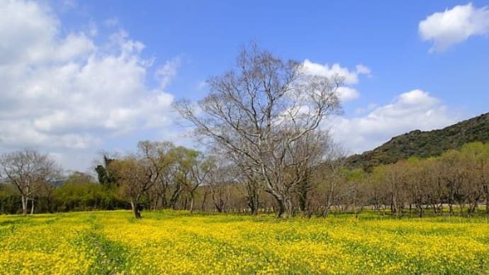 3月10日(金)のつぶやき(リブログ)