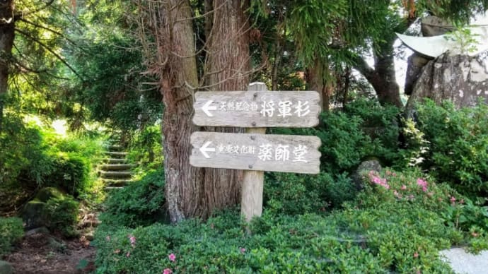 将軍杉から宮古蕎麦街道へ