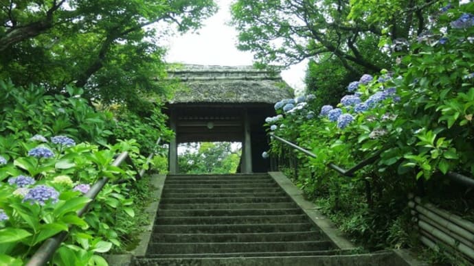 鎌倉散歩~東慶寺