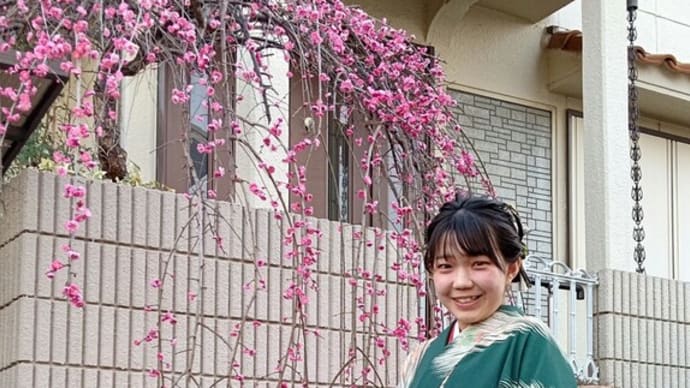 令和5年3月9日出張着付けは堺市美原区、袴の着付&ヘアセットのご依頼でした(担当は坂田)