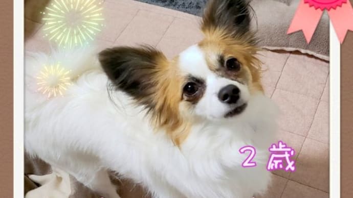 ☆2歳☆