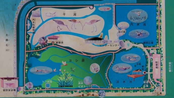 きらら浜でウォーキング