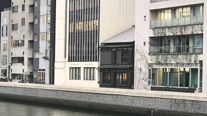 【オクシモロン】『和風キーマカリー』大阪市中央区