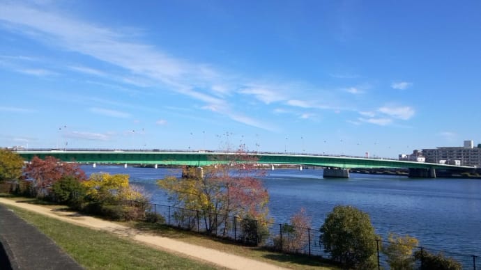 きょうの風景 甲子園浜~香櫨園浜~南芦屋浜 ・・・ 11月25日 探鳥ペダリング で