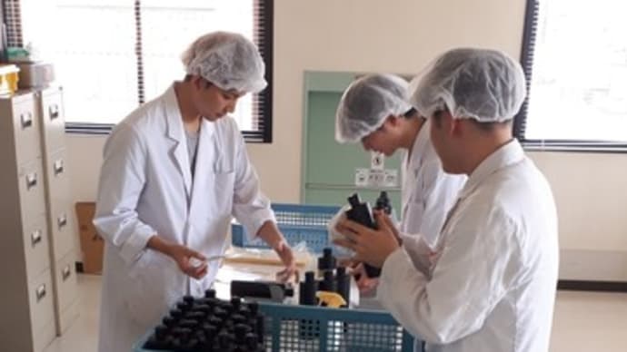 学生アルバイト復活
