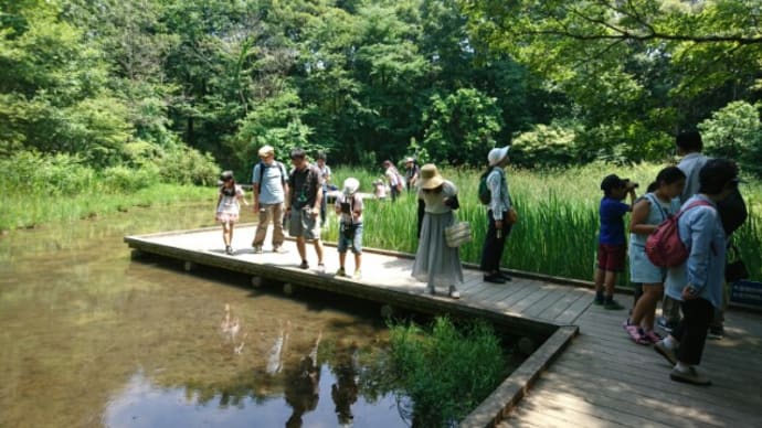 ダ・ビンチ サイエンス教室、昭和記念公園で自然体験