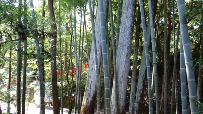 油山寺が似合う人