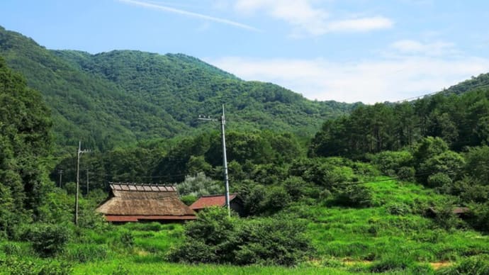 951/~寄り道・・・