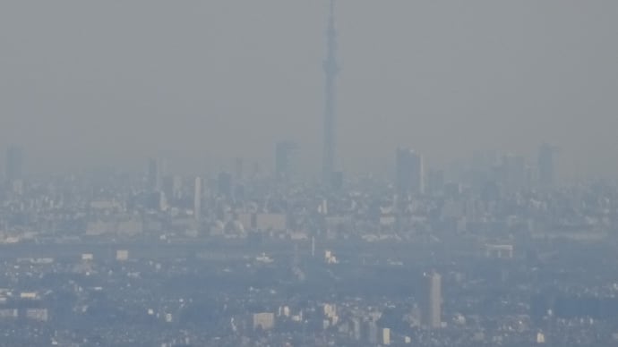 愛宕山からスカイツリーが見えた