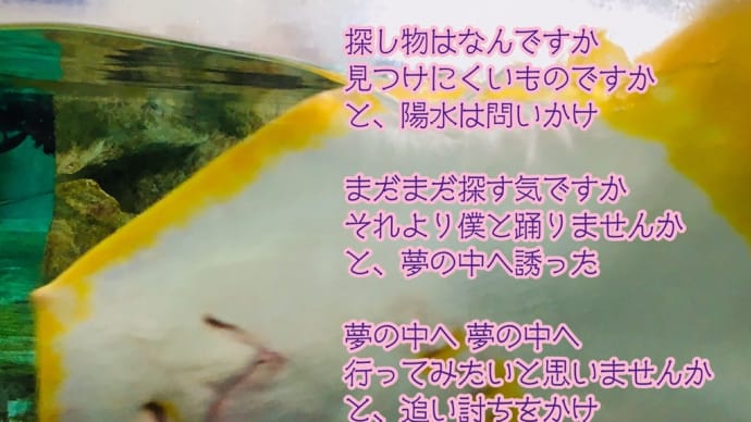 夢の中へ / ラグの写真詩