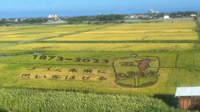 オライ蓮沼