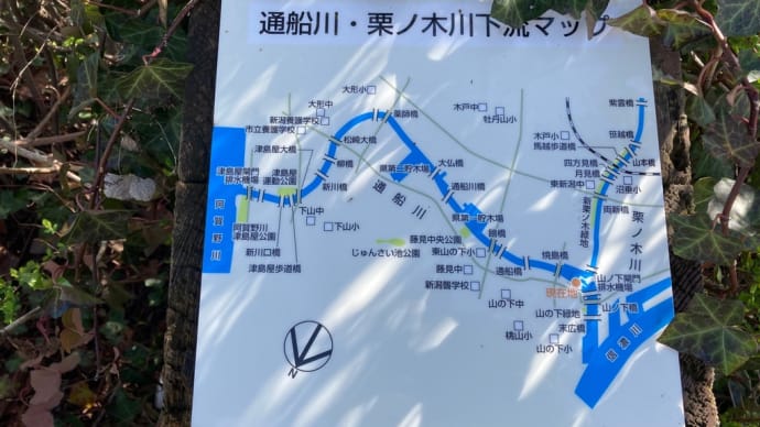ウォーキング:通船川周辺