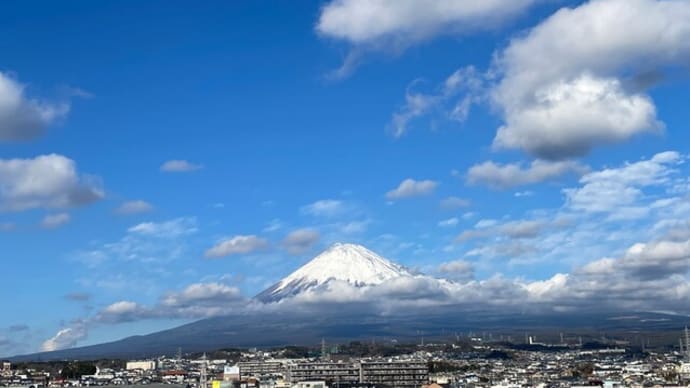 今日は大寒だけど絶対に飛んでると思う