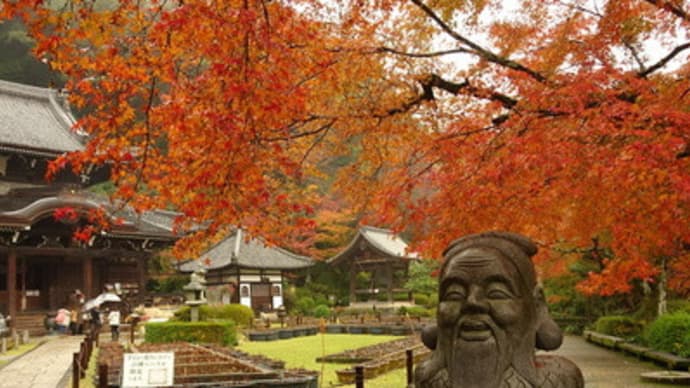 雨と紅葉の三室戸寺（前編）　＠　京都妖怪探訪（５２７）