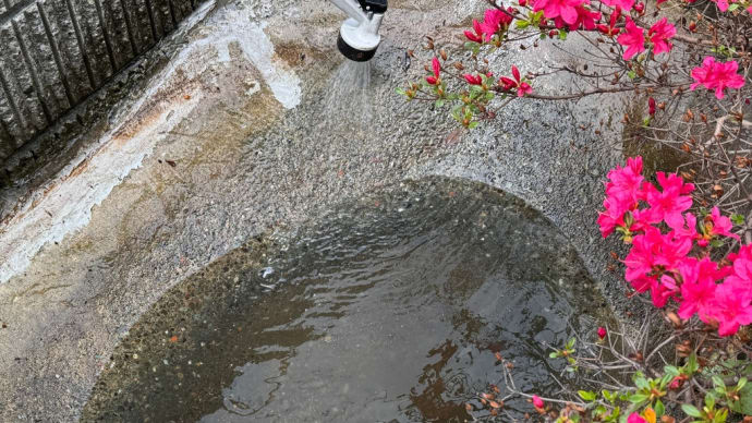 今日から外