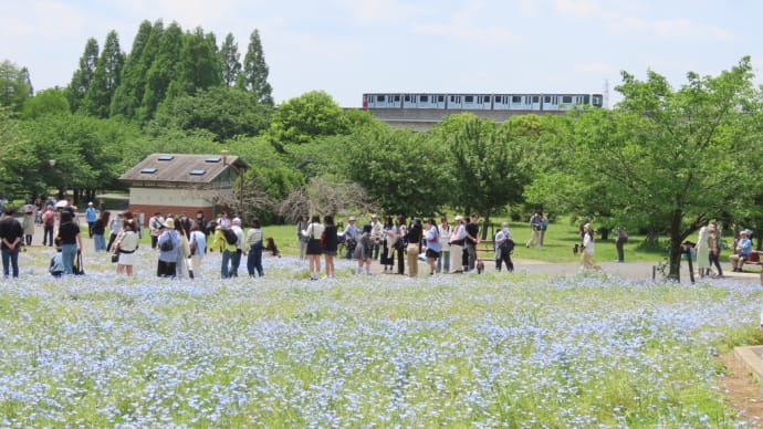 舎人公園に行きました。