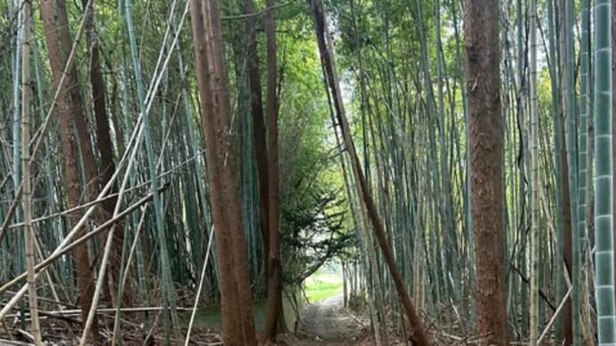 福田の森の整備