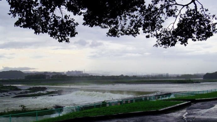 「相模川磯部頭首工」もの凄い水量!!