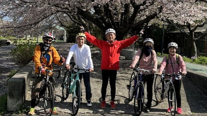 桜満開「筑波りんりんロード」80kmサイクリング