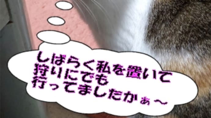始めて美味しかった七草がゆTo美味しかったごぼう菓子でも・・・&金運を捨てたポイ捨て