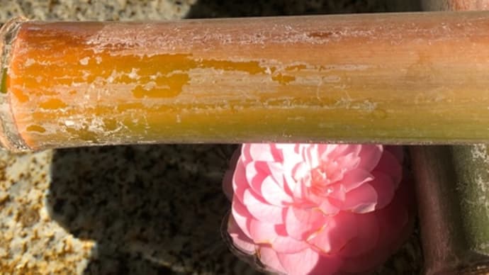 流し観もコレま・た・美味☆6