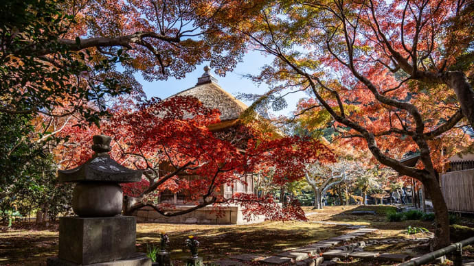 錦秋の赤【長寿寺】特別拝観は～12月7日で終了しています