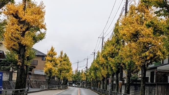 不思議なできごと