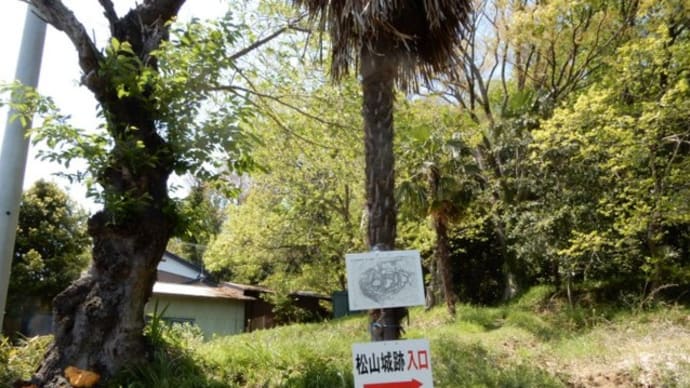 武州松山城