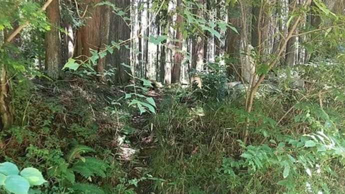 栃木県の神社 鹿沼市引田 根本山神社