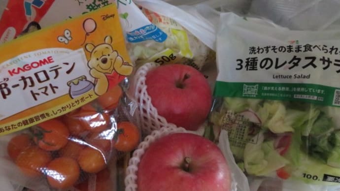 便利だね、イトーヨーカドーネットスーパー
