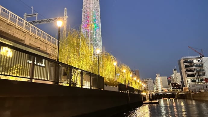 ナイトクルーズに行ってきた