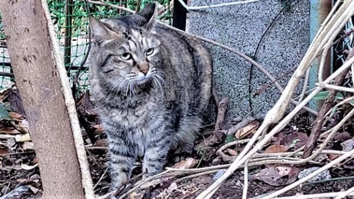 今年もありがとうございました