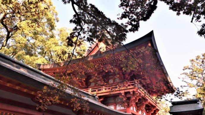 大宮公園・氷川神社の紅葉
