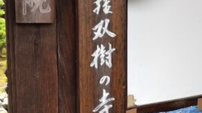 沙羅双樹の花の色