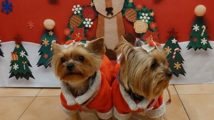 Xmas旅行② Xmasイブ