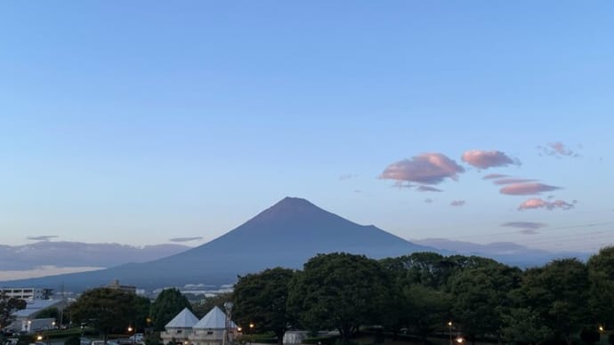 お墓参りの後のお楽しみ