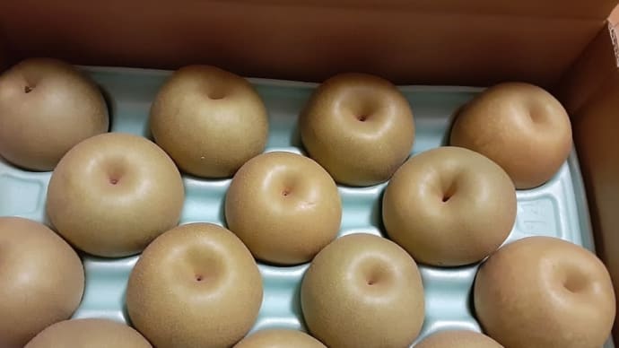 来週から