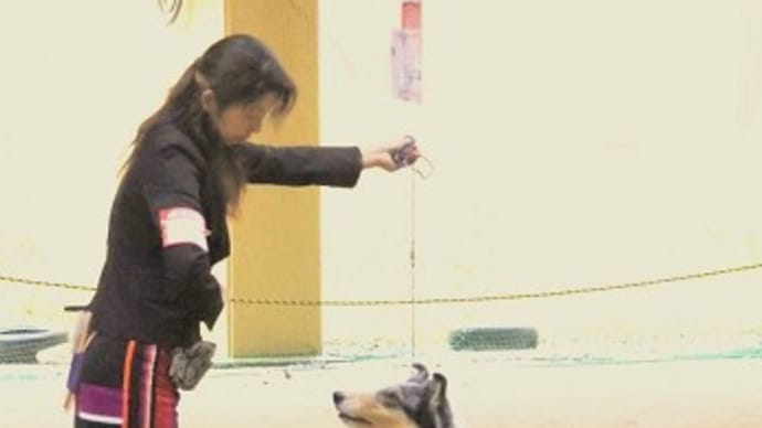 コリークラブ 岐阜支部展