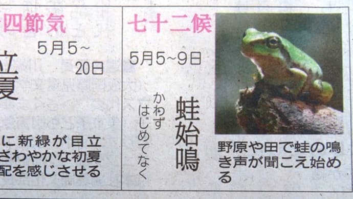 今日は「立夏」で「子供の日」でした。
