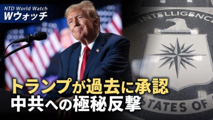 トランプ氏が過去に承認した中共への極秘反撃とは?/米特殊部隊グリーン ベレー 台湾に配備 関係強化へ など|NTD ワールドウォッチ(2024年3月19日)
