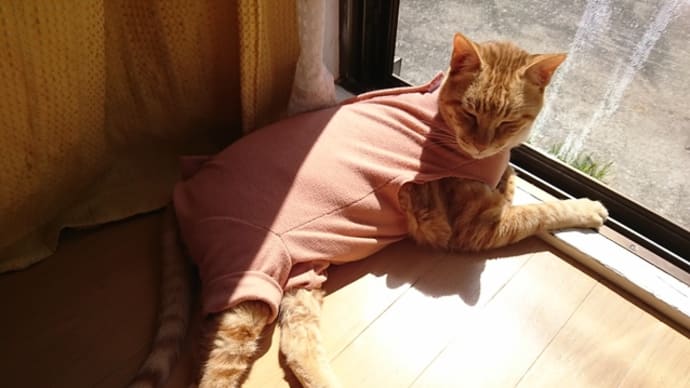 ちょこっと手直し。
