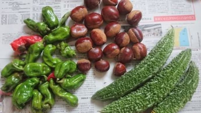 家の収穫と片付け簡単料理や頂き物